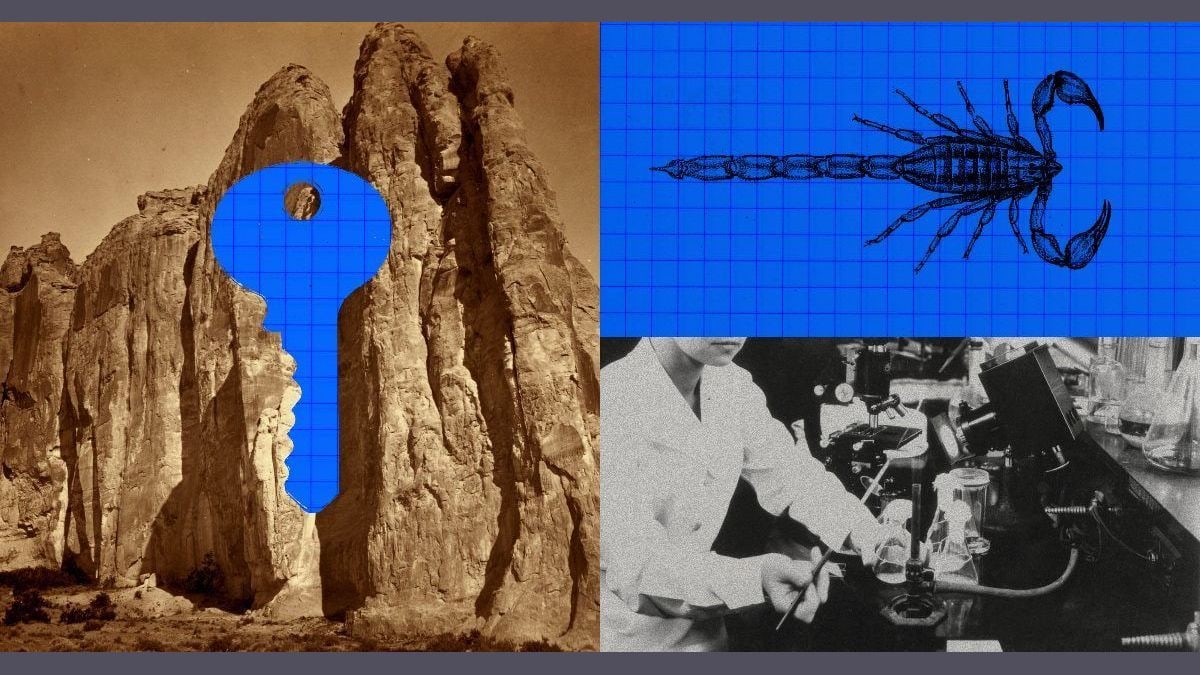 An Anthropic illustration with an engraving of a scorpion on a blue grid, beside an old lab photo and a key shape cut into a rock face