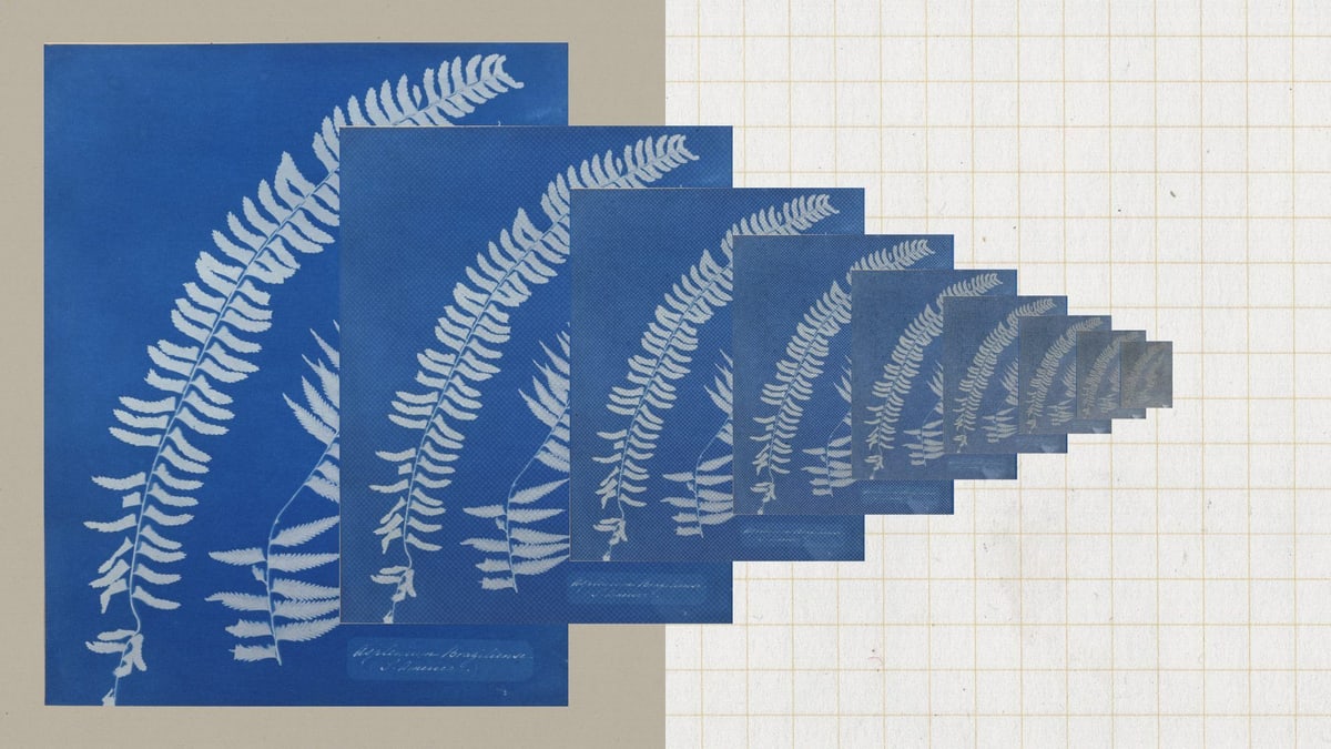 Anthropic illustration of a blue fern print repeated in smaller and smaller copies across graph paper, from its post on defenses against copying Claude