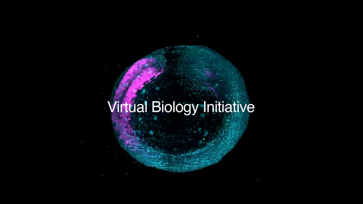 Biohub image of a glowing cell in cyan and magenta on black, with the words Virtual Biology Initiative